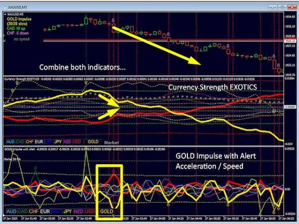 GOLD Impulse with Alert 3