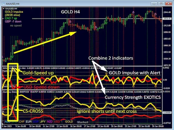 GOLD Impulse with Alert 7