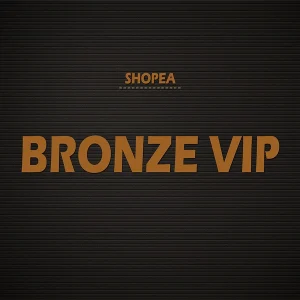 Bronze VIP