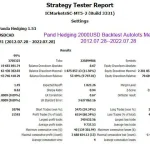 Panda Hedging MT4-Review-4