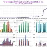 Panda Hedging MT4-Review-7