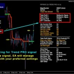 PipFinite EA Trend PRO MT4-Preview-6