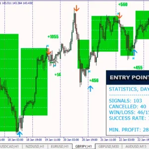 Entry Points Pro Indicator MT4-Preview-1