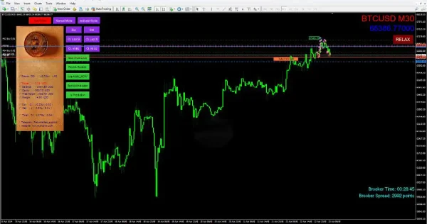 BitcoinRobot MT4-Preview-1