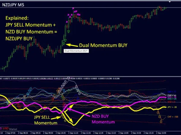 Dynamic Forex28 Navigator MT4-Preview-1