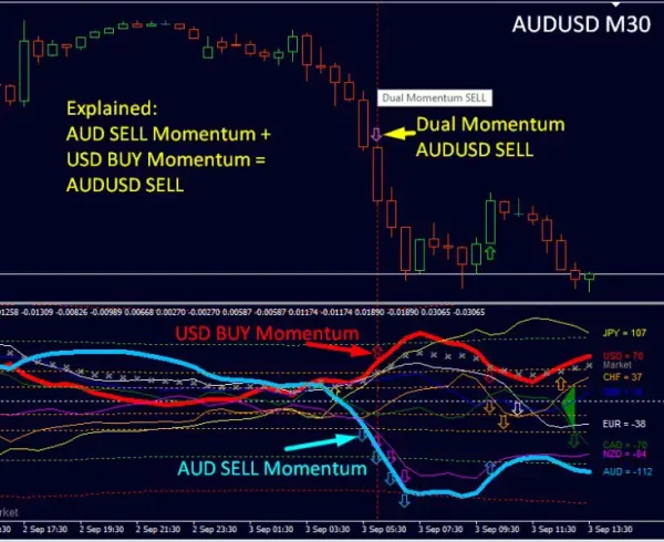 Dynamic Forex28 Navigator MT4-Preview-10