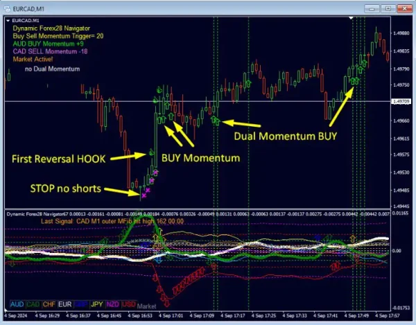 Dynamic Forex28 Navigator MT4-Preview-10