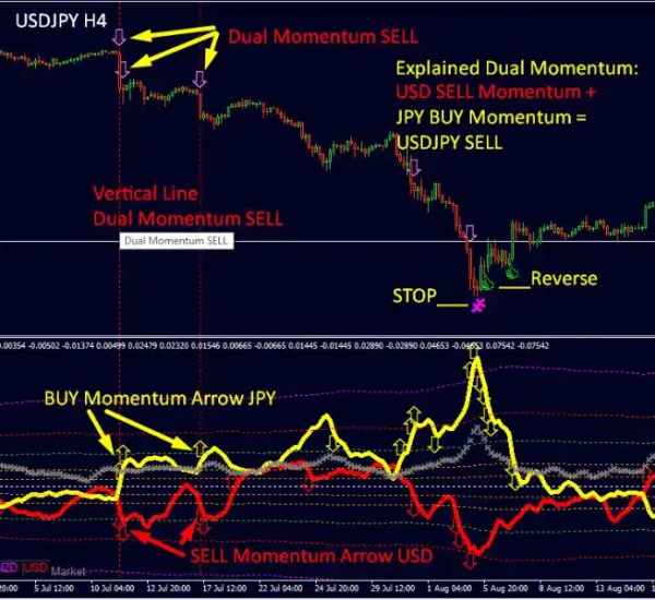 Dynamic Forex28 Navigator MT4-Preview-11