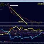 Dynamic Forex28 Navigator MT4-Preview-2