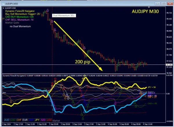 Dynamic Forex28 Navigator MT4-Preview-2