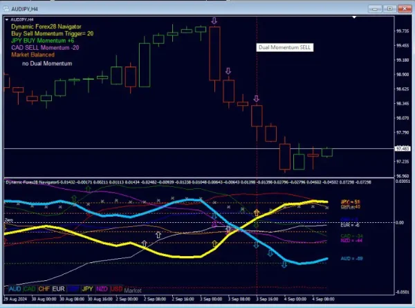 Dynamic Forex28 Navigator MT4-Preview-3