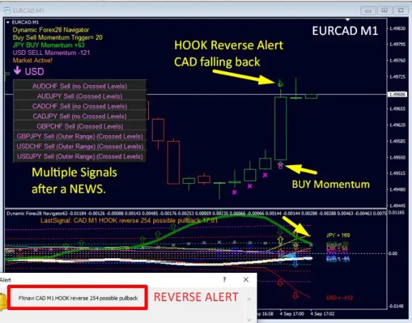 Dynamic Forex28 Navigator MT4-Preview-4