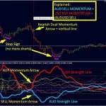 Dynamic Forex28 Navigator MT4-Preview-5