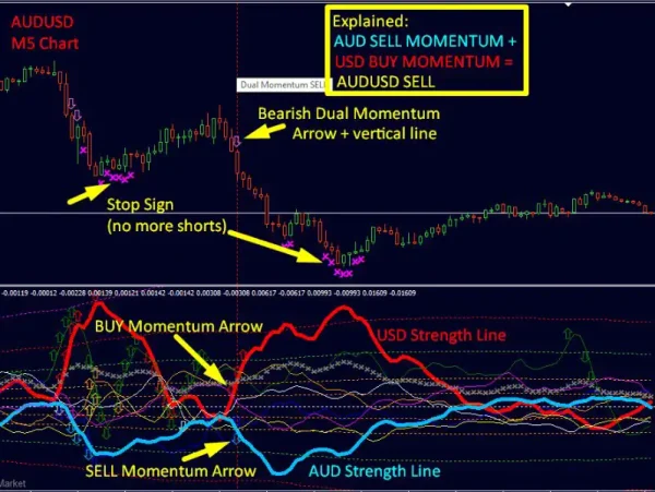 Dynamic Forex28 Navigator MT4-Preview-5