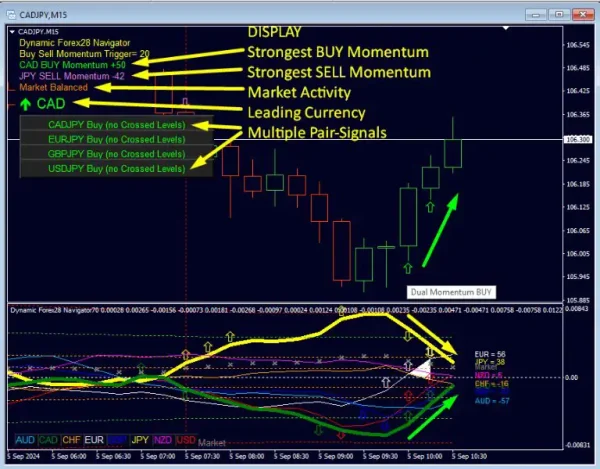 Dynamic Forex28 Navigator MT4-Preview-6