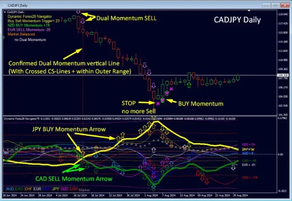 Dynamic Forex28 Navigator MT4-Preview-7