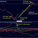 Dynamic Forex28 Navigator MT4-Preview-8