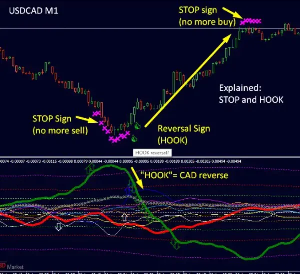 Dynamic Forex28 Navigator MT4-Preview-8