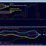 Dynamic Forex28 Navigator MT4-Preview-9