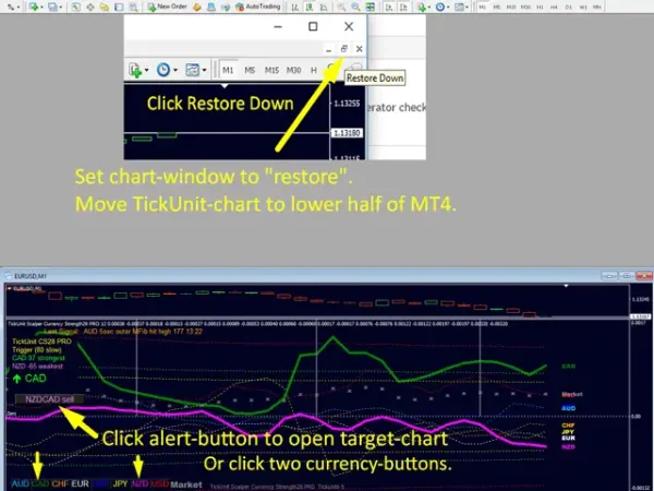 TickUnit Scalper Currency Strength28 PRO MT4-Preview-6