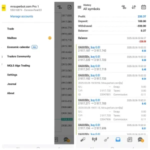 Mrsuperbot MT4-Preview-1