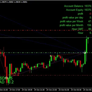 The king Hedging Forex MT4-Preview-1