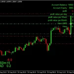 The king Hedging Forex MT4-Preview-2
