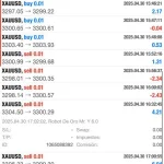 Robots De Oro MR.Y MT5-Preview-3