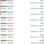 Robots De Oro MR.Y MT5-Preview-4