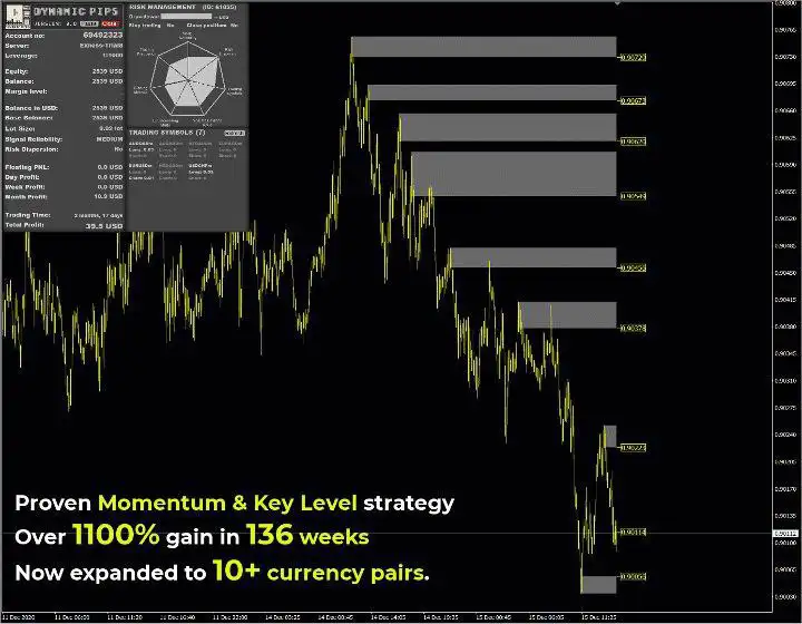 Dynamic Pips MT4-Preview-2 Dynamic Pips MT4-Preview-2