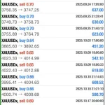 Scalping Chinese EA MT4-Preview-1