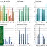 Solar Bloom MT5-Preview-3