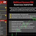 WallStreet Recovery PRO MT4-Preview-1