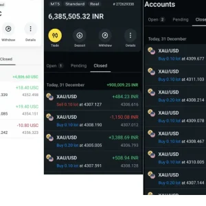 Highly Profitable Gold Scalper MT5-Preview-1