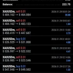 Dynamic Amplitude Impulse MT4-Preview-1