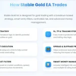 Stable Gold Scalping EA MT5-Preview-4