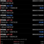 The Buster BTC Single Entry MT5-Preview-3