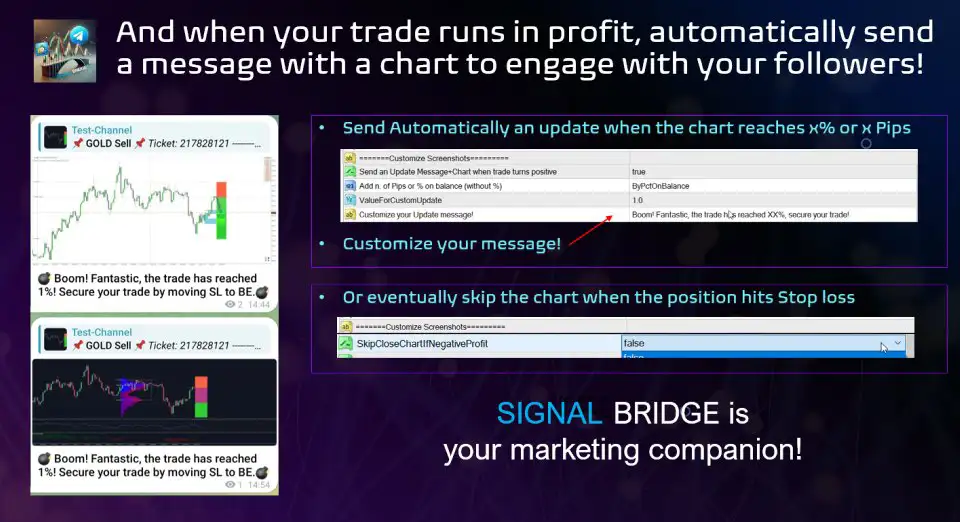 MT5 To Telegram Signal Bridge-Preview-10 MT5 To Telegram Signal Bridge-Preview-9