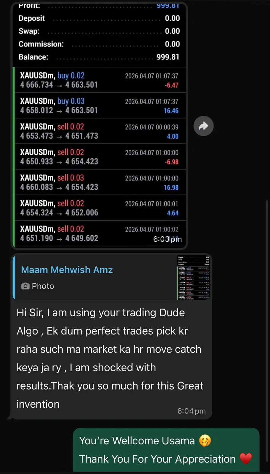 Dude Alpha Gold EA MT5-Preview-5