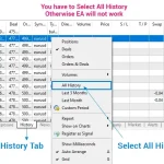 Rebate Trading EA MT5-Preview-10