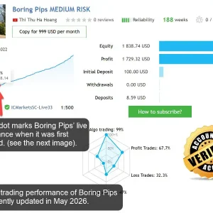 Boring Pips MT5-Preview-1
