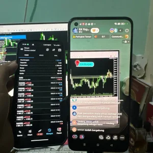 EA MONJALI MT5-Preview-1