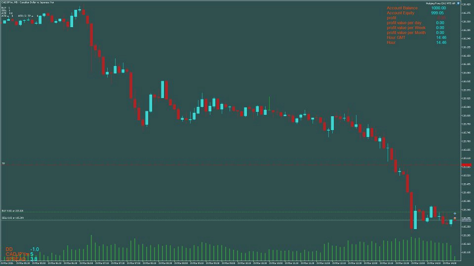 Hedging Forex EA1 MT5 AR-Preview-1