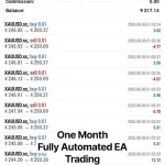 Smart Gold Nitro EA MT5-Preview-1